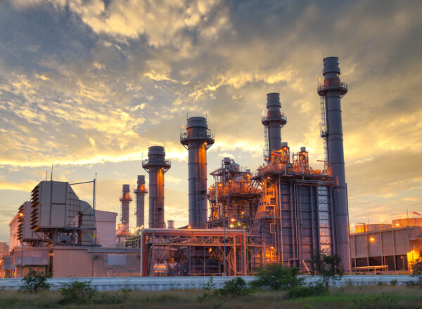 local content support local content support